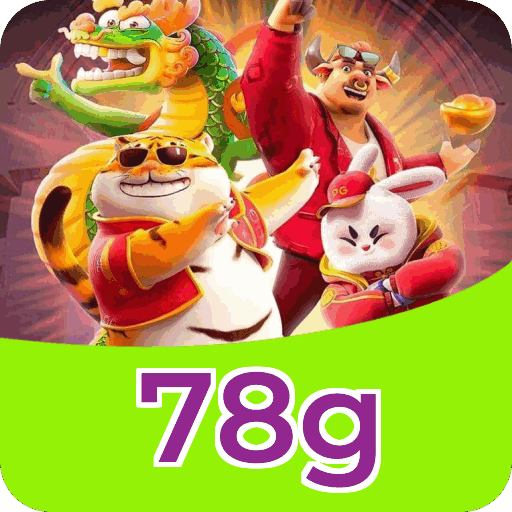 Métodos de pagamento aceitos na 78g